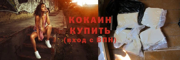 СК Алексин