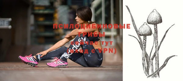 гидра Абаза