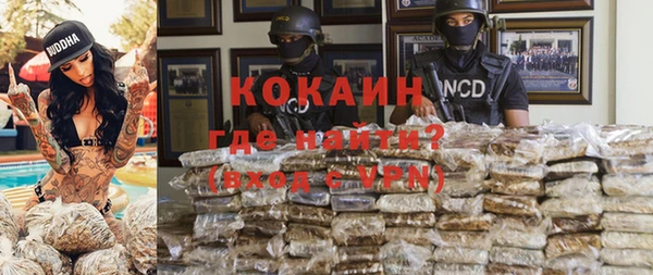 гидра Абаза