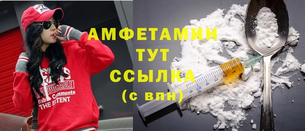 гидра Абаза