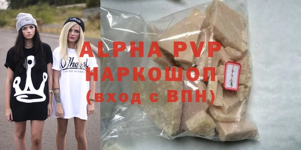 гидра Абаза